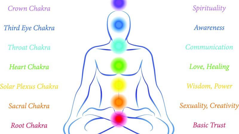 When Choosing What Color To Paint A Yoga Studio Why Are Chakra Colors So Important