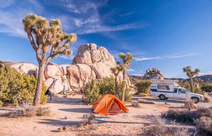 Planning Your Adventure: A Complete Guide to Joshua Tree Camping Reservations