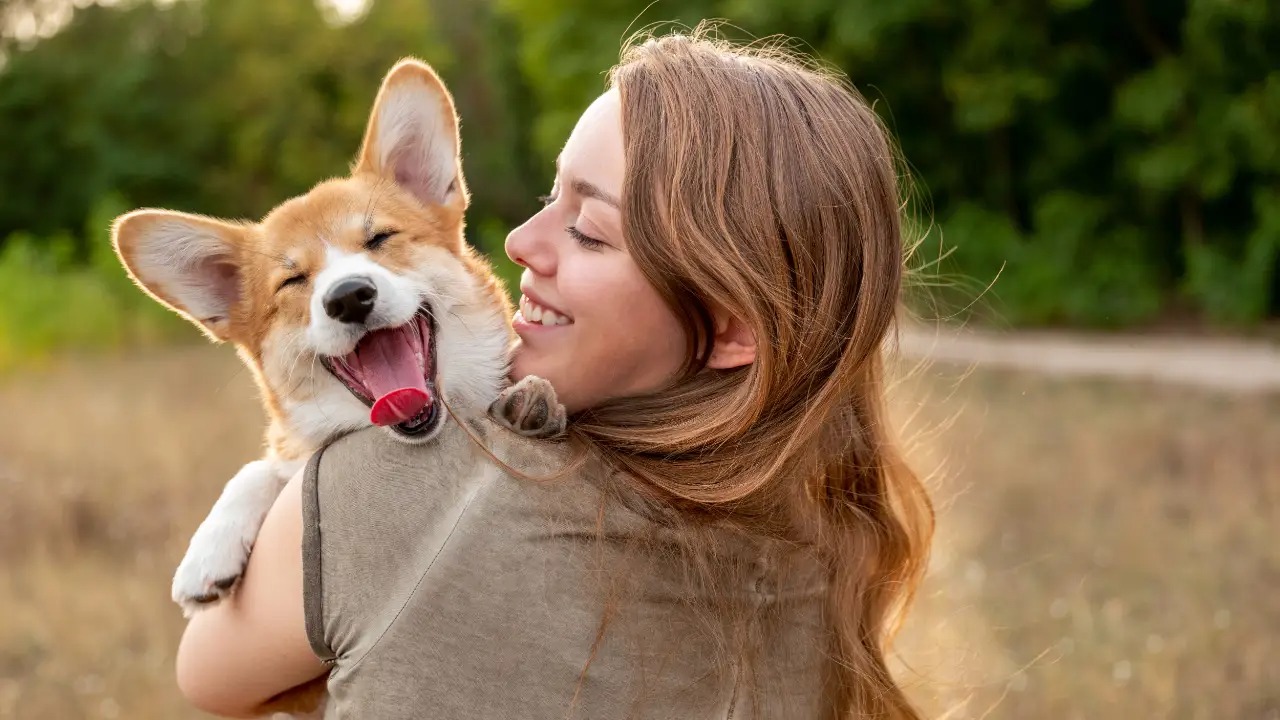 Heartwarming Gift Ideas for Animal Lovers The Unbreakable Bond