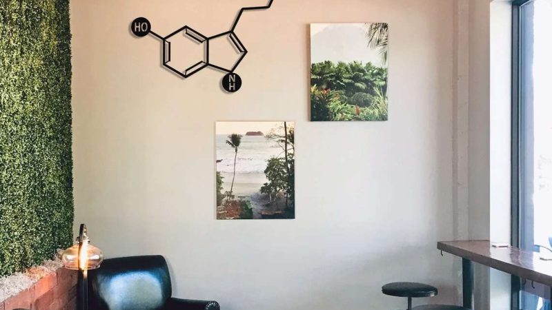 5 Powerful Ways to Elevate Your Science Decor Transform Your Home or Office into a Scientific Wonderland